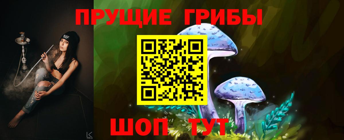 Галлюциногенные грибы прущие грибы  Псилоцибиновые грибы Psilocybine cubensis  Саров  Вход с VPN 